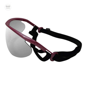 Gafas para Mascotas - Petglasses - 36003/1201 - Talla L